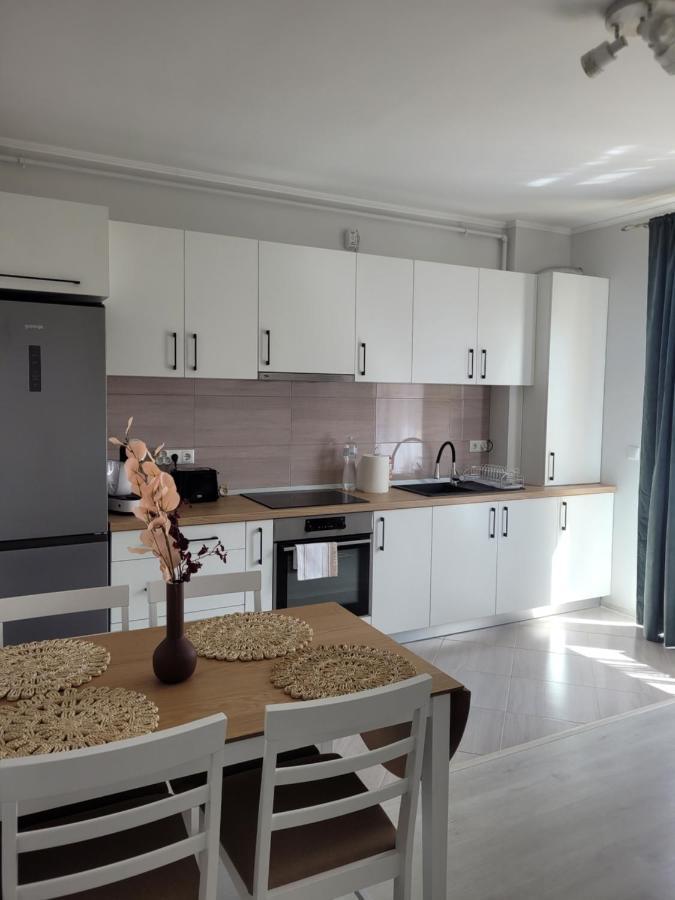 Amparo Apartment Satu Mare Exterior photo
